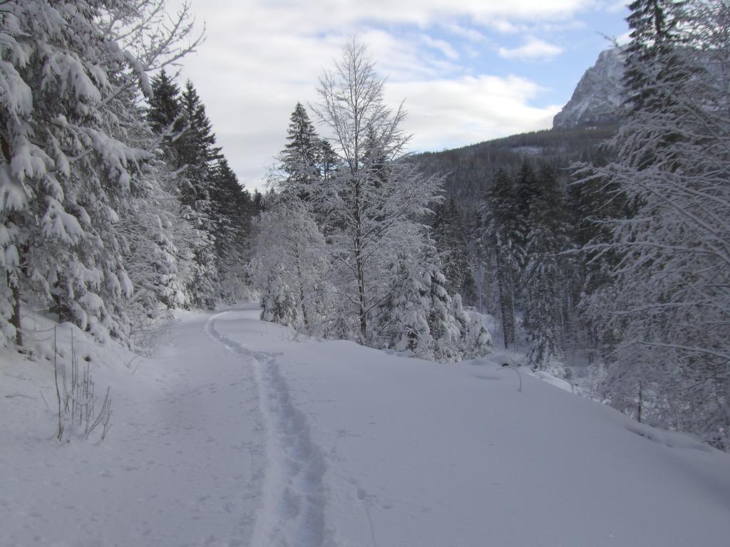 Ferienwohnung Am Roemerweg Wald Inzell Dış mekan fotoğraf