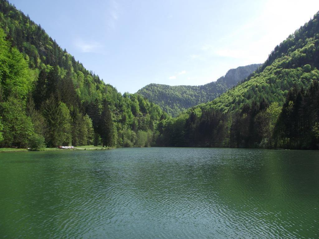 Ferienwohnung Am Roemerweg Wald Inzell Dış mekan fotoğraf