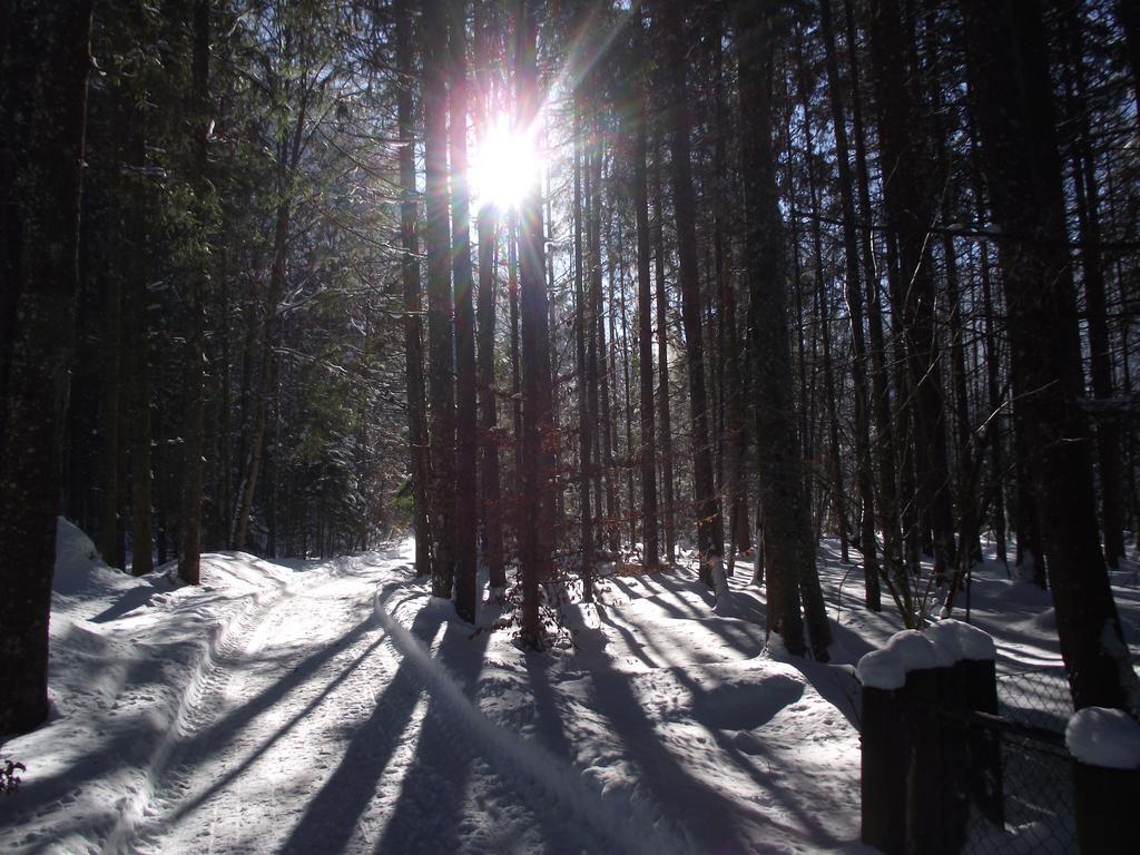 Ferienwohnung Am Roemerweg Wald Inzell Dış mekan fotoğraf