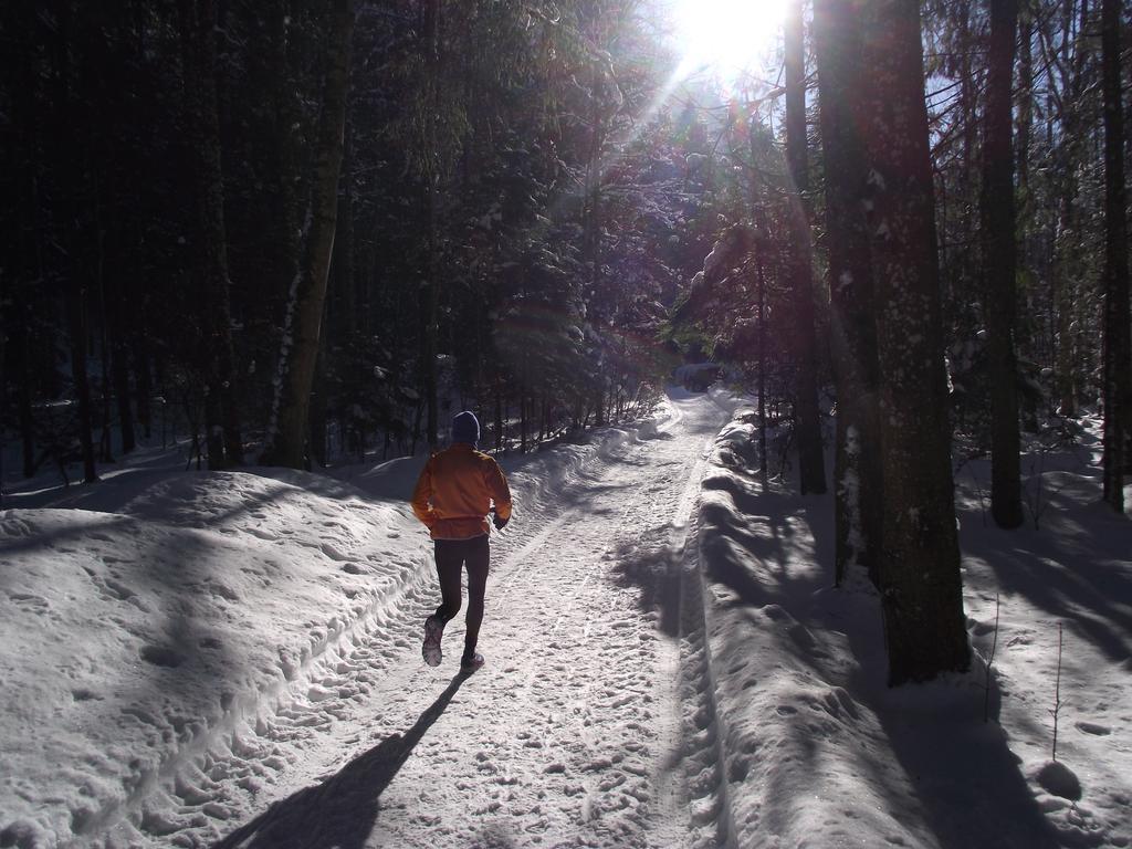 Ferienwohnung Am Roemerweg Wald Inzell Dış mekan fotoğraf