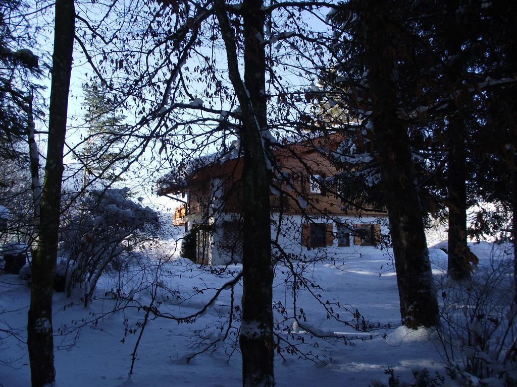 Ferienwohnung Am Roemerweg Wald Inzell Dış mekan fotoğraf